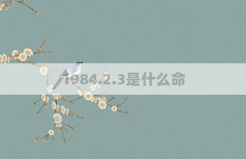 1984.2.3是什么命