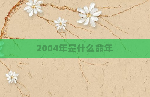 2004年是什么命年