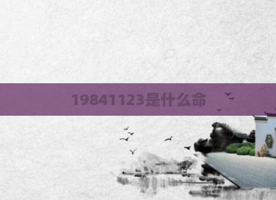 19841123是什么命