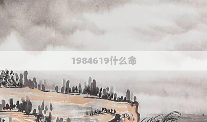 1984619什么命