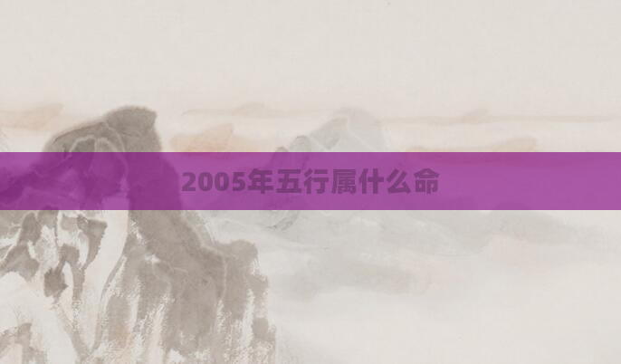 2005年五行属什么命