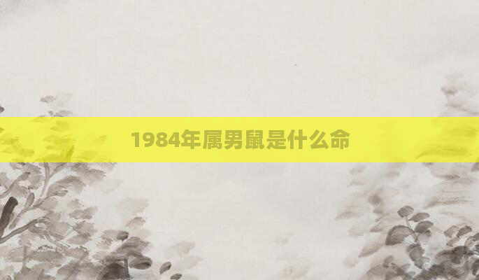 1984年属男鼠是什么命