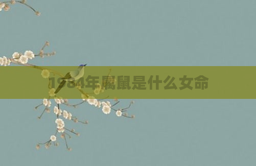 1984年属鼠是什么女命
