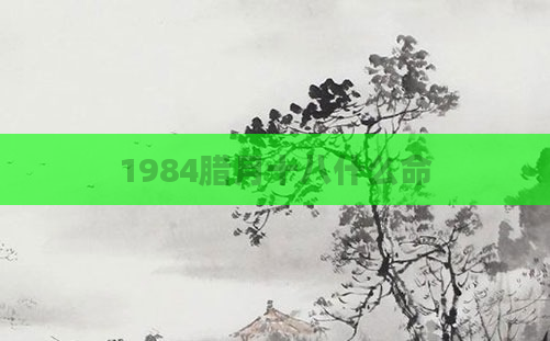 1984腊月十八什么命