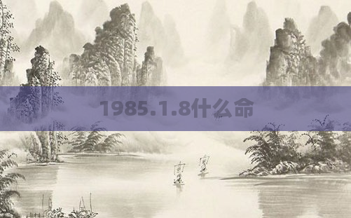 1985.1.8什么命