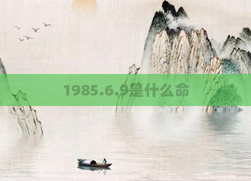 1985.6.9是什么命