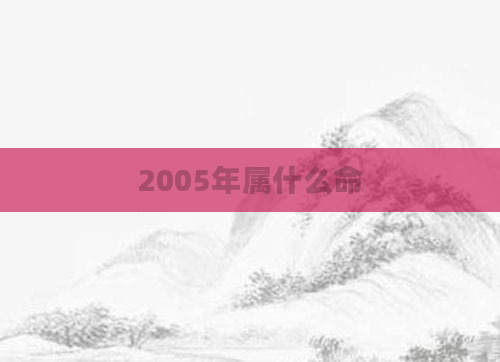 2005年属什么命