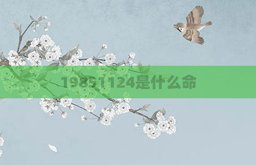 19851124是什么命