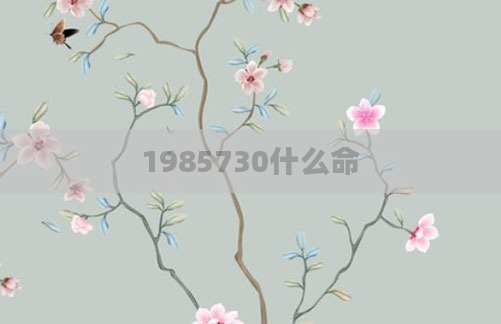 1985730什么命