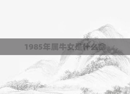 1985年属牛女是什么命