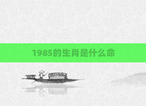 1985的生肖是什么命