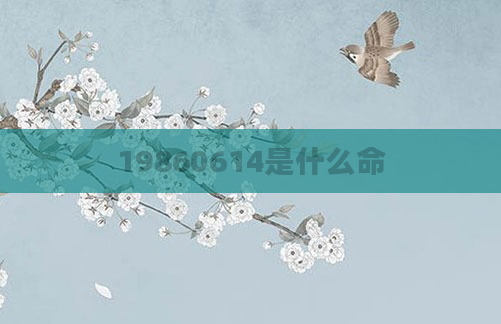 19860614是什么命