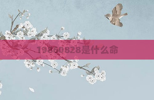 19860828是什么命