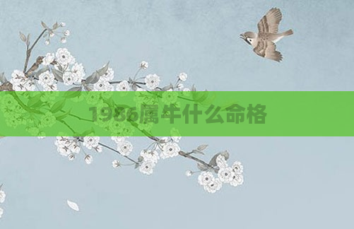 1986属牛什么命格