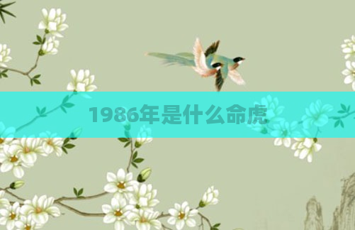 1986年是什么命虎
