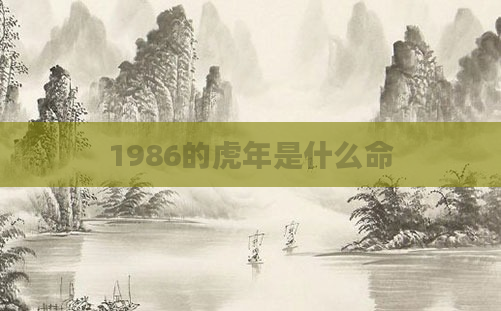 1986的虎年是什么命