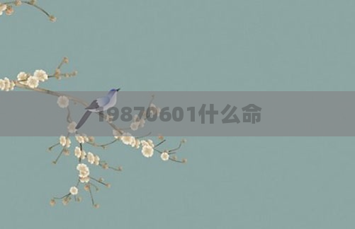 19870601什么命