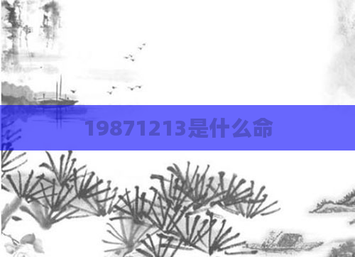 19871213是什么命