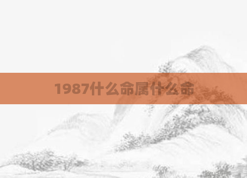 1987什么命属什么命