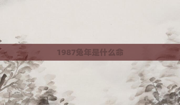 1987兔年是什么命