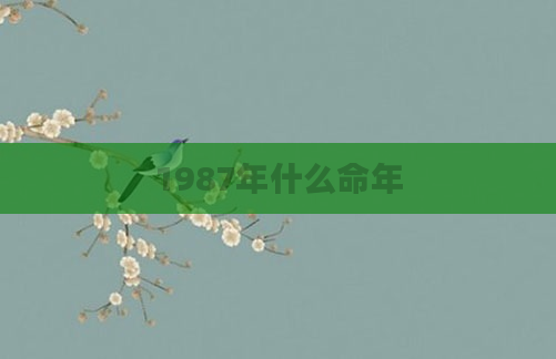 1987年什么命年