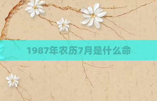 1987年农历7月是什么命