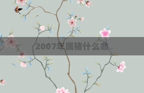 2007年属猪什么命