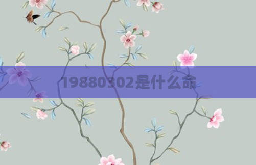 19880302是什么命