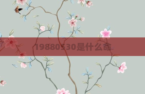 19880530是什么命