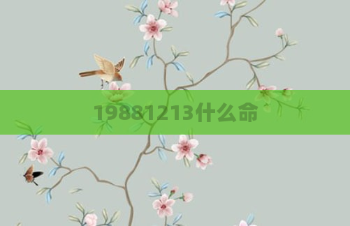 19881213什么命