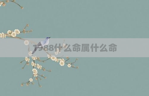 1988什么命属什么命