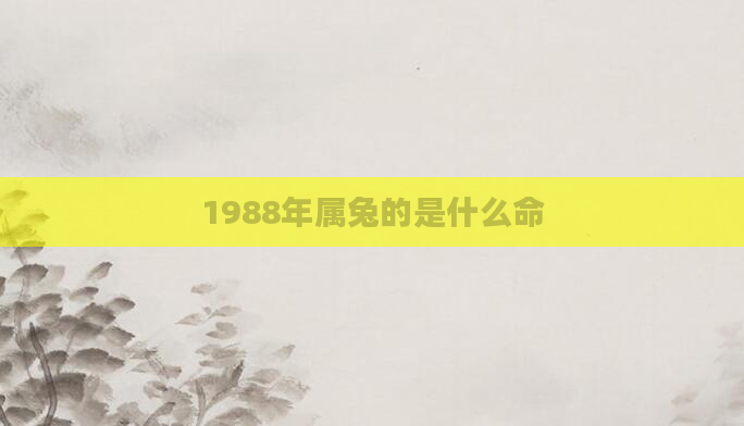 1988年属兔的是什么命
