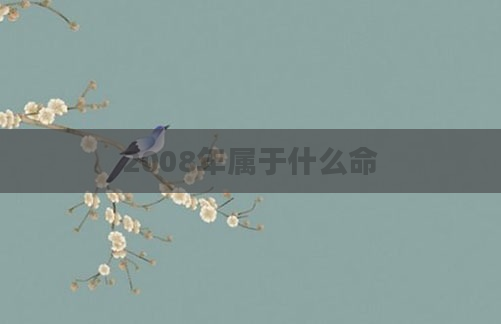 2008年属于什么命