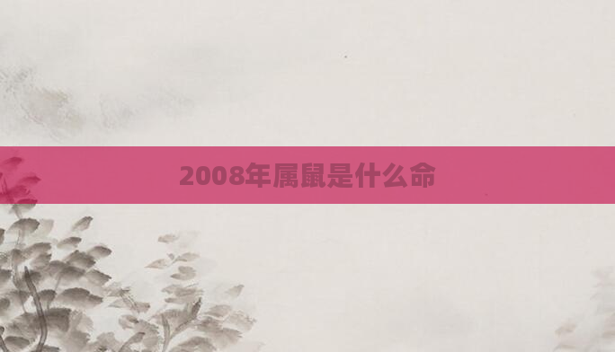 2008年属鼠是什么命