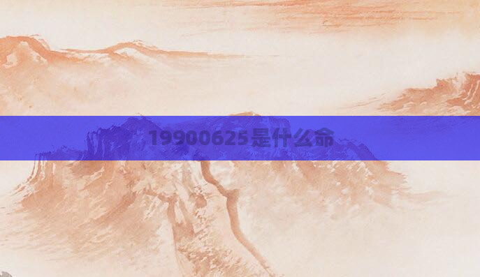19900625是什么命