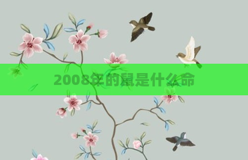2008年的鼠是什么命