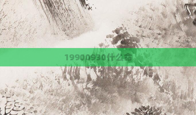 19900930什么命