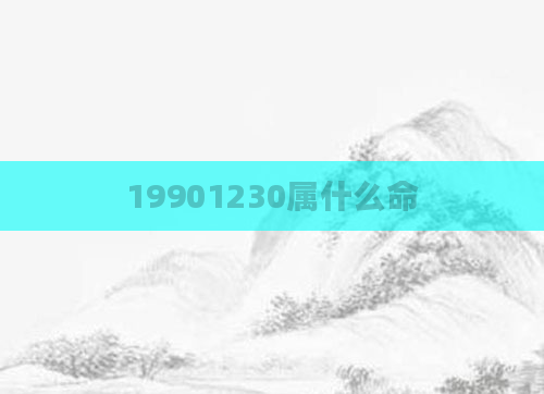 19901230属什么命