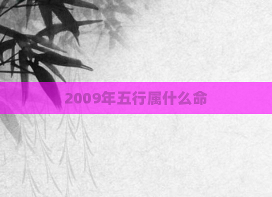 2009年五行属什么命