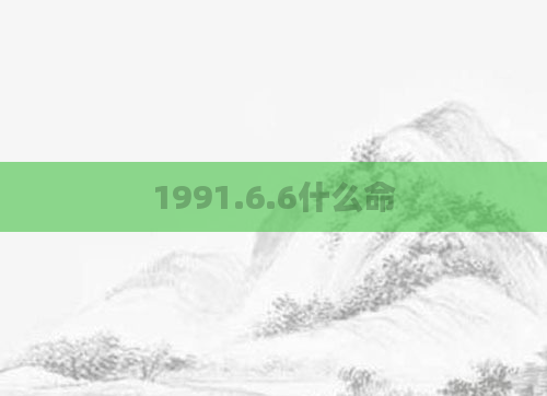 1991.6.6什么命