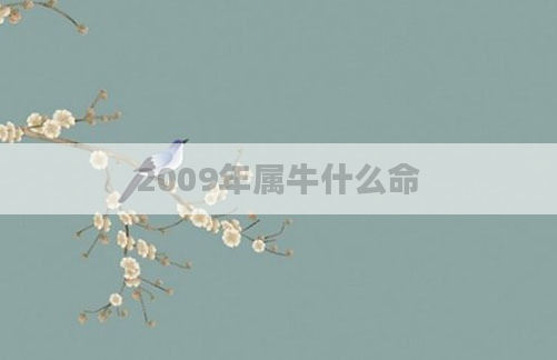 2009年属牛什么命
