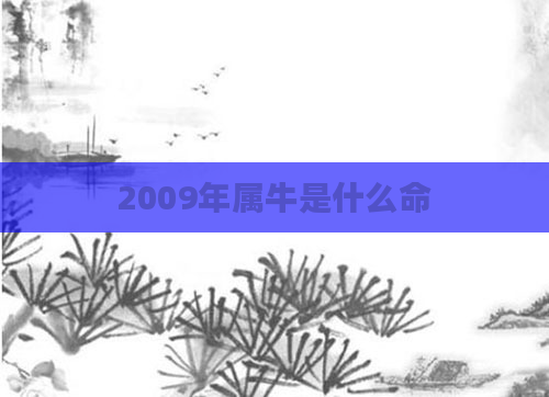 2009年属牛是什么命