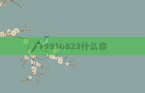 19910823什么命