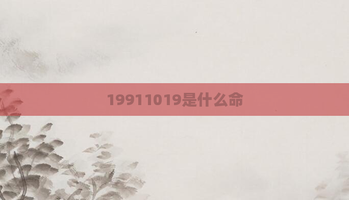 19911019是什么命