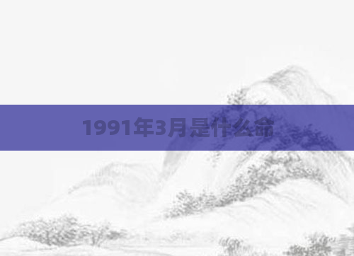 1991年3月是什么命