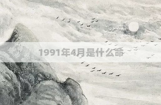 1991年4月是什么命