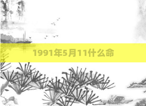 1991年5月11什么命
