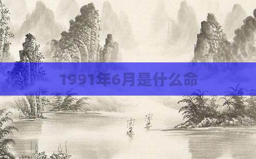 1991年6月是什么命