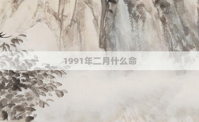 1991年二月什么命