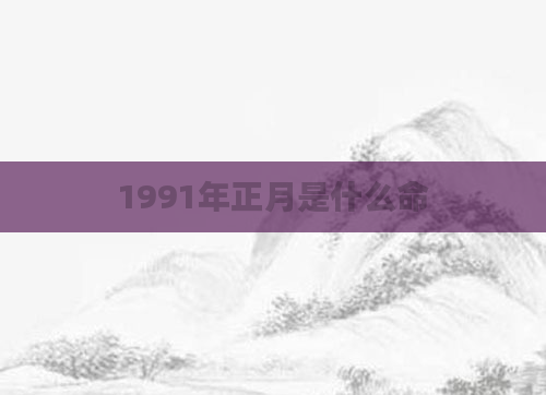 1991年正月是什么命